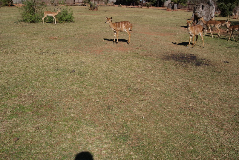 DSC02283.JPG