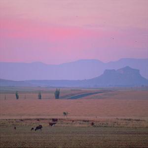 bloemfontein9_3599_sq_large.jpg